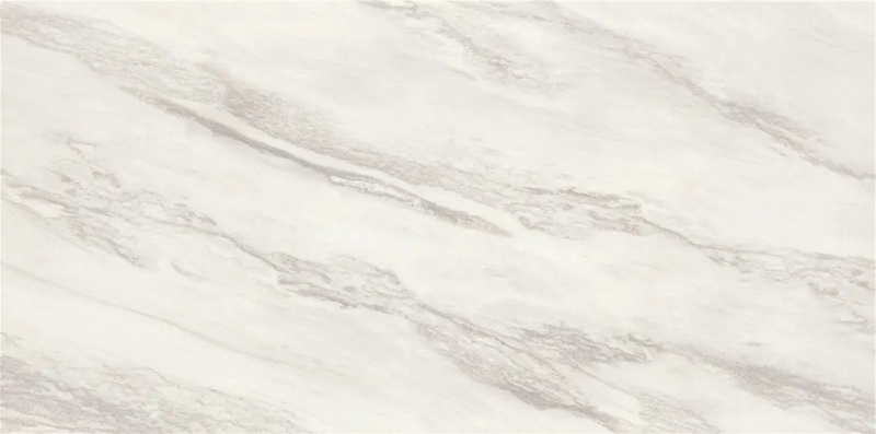 1583483957163998.jpg 640.webp (4).jpg