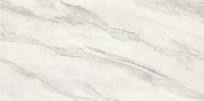 1596783179985980.jpg QQ截圖20200807141152.jpg