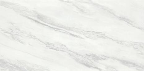 1596785307121380.jpg QQ截圖20200807143505.jpg